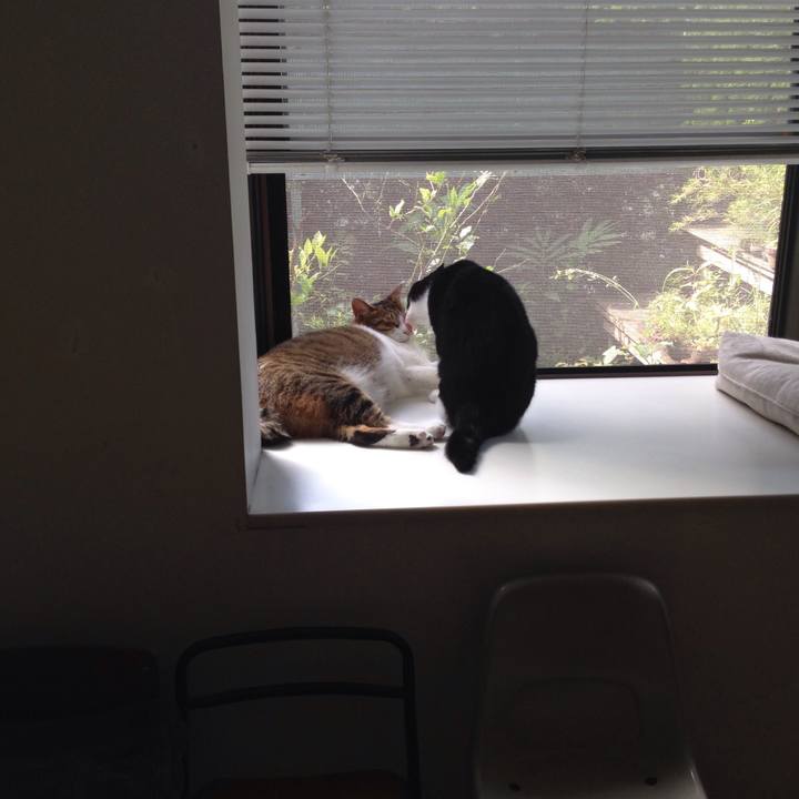 69aefd72 4d96 4bef be18 0dd0b453013b