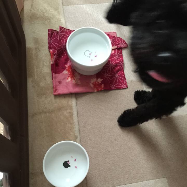 69af6789 030e 4b8e a1bd 234a1f80147f