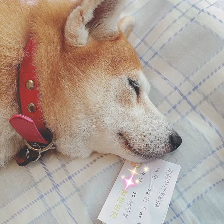 69b01cd1 ef93 4ac1 aee2 12cfad7574d3