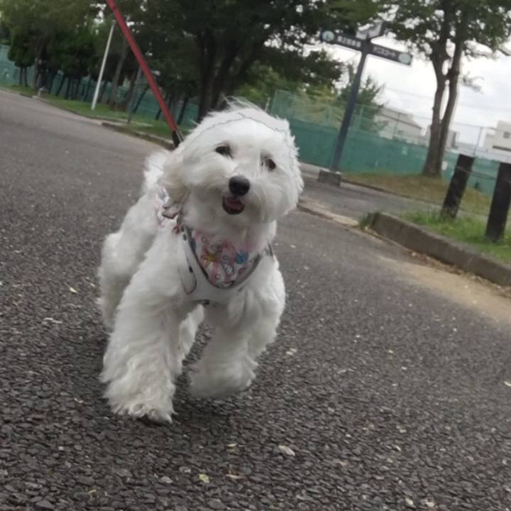 69b068e8 ad38 4a39 bbd5 c0ffbc51f974