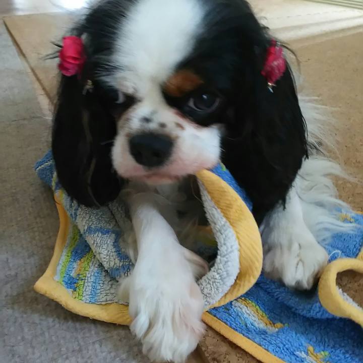 69b08c90 8344 4b4d af9e 63e55dbdf9bb