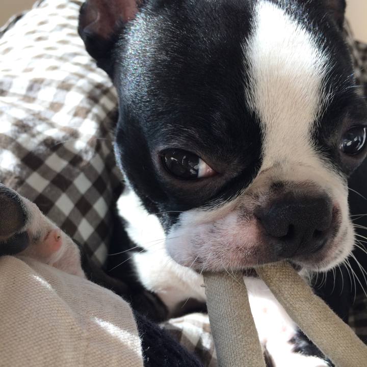 69b0bdfa e855 4994 a1b1 9344a8a6a8b6