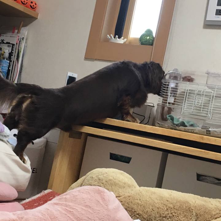 69b1665c fa88 4c85 a3c7 11b09725beeb