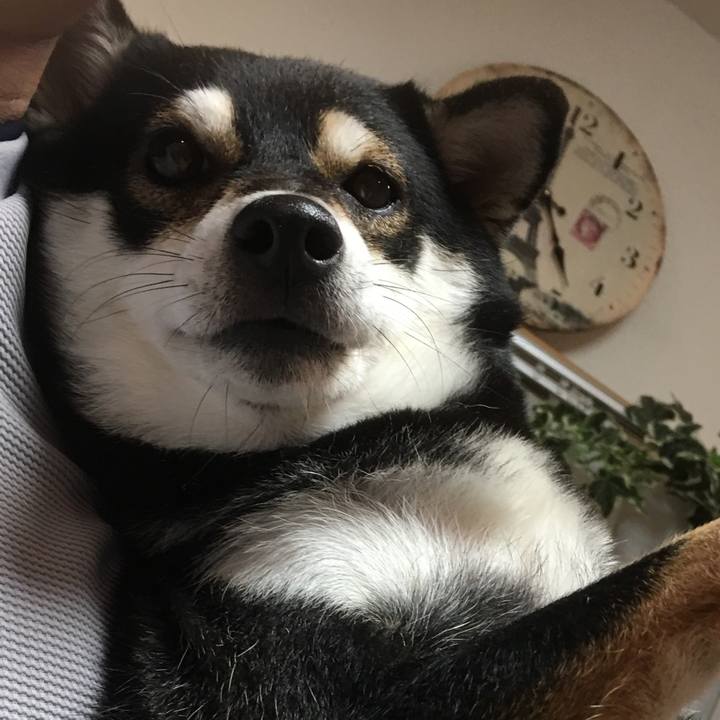 69b187f2 39ea 4764 a67b 6b8e95628f3e