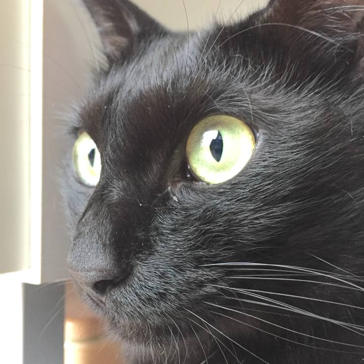 69b1f912 8cee 4f0e 911c bb4461f0c094