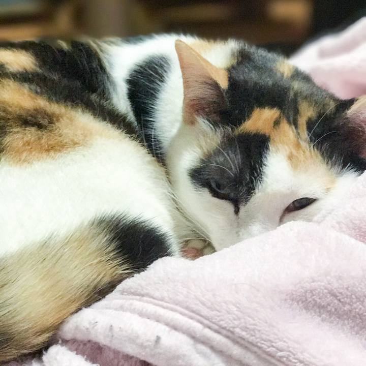 69b20267 62ac 4f82 a48a b300ec5873e8