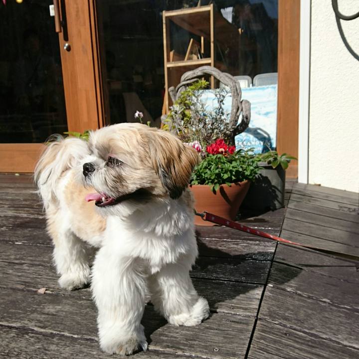 69b26f8a 7765 44e8 a94f cee423ee5450