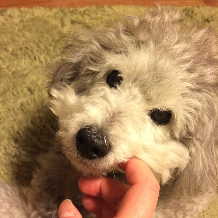 69b2be76 0fa1 43a1 a617 fbc73069a724