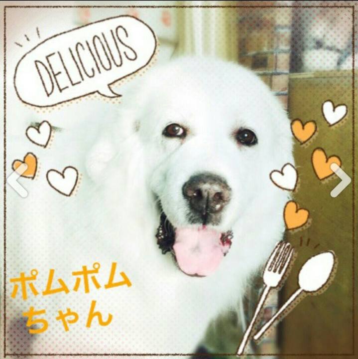 69b3130c 4ded 4a1e 97e6 1ad260eddaf5