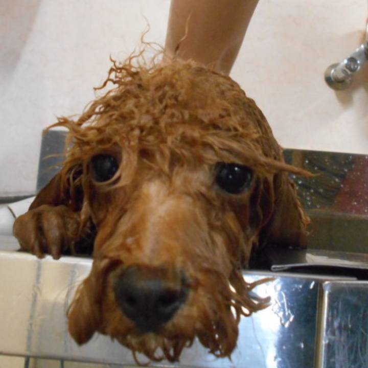 69b538f7 8b46 48bf 8adc 02027684041b