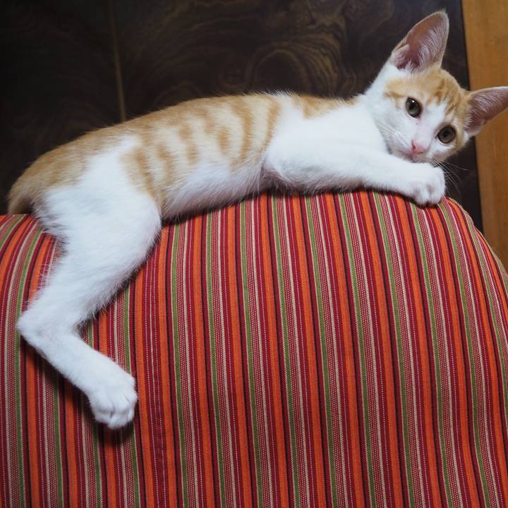 69b5e921 ba37 4cac b5eb a356975a33d4