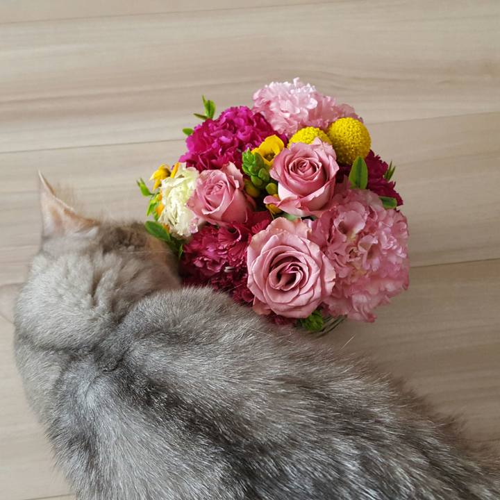 69b5eef6 3835 4a9a 9e9e 7b6eff6801bf