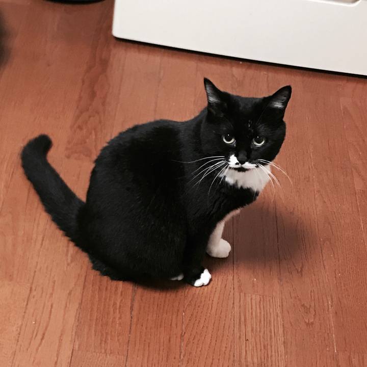 69b63d3e 2f93 44c5 8592 134ee88e0e14