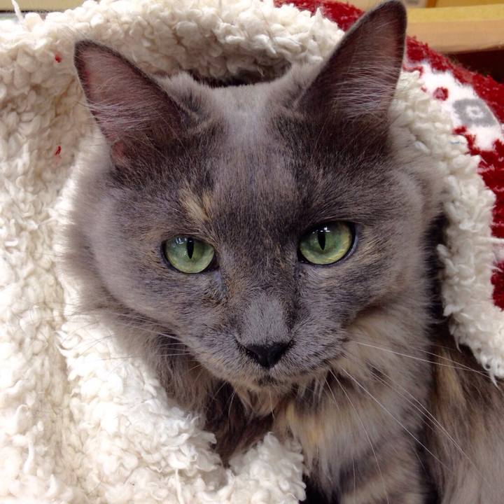 69b64d1e eee2 43b0 b9b9 8ee9fe812ac6