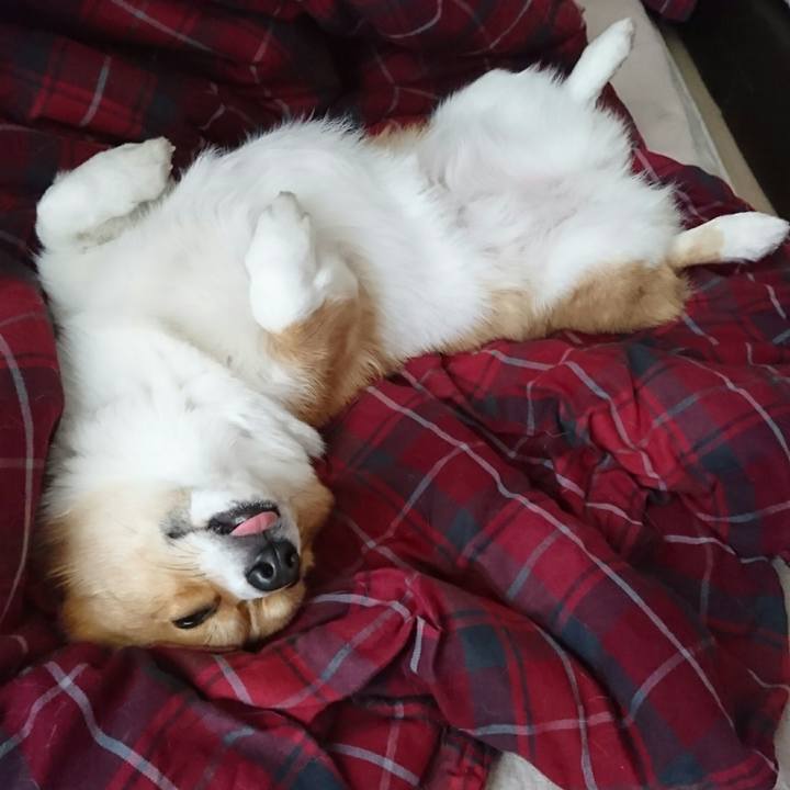 69b6b733 a0aa 4e63 846a bd9eddb25bb6