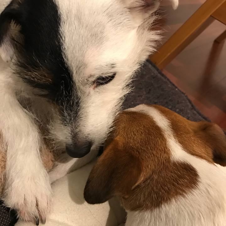 69b6fc22 1882 4f48 b49a 0930377e3d95