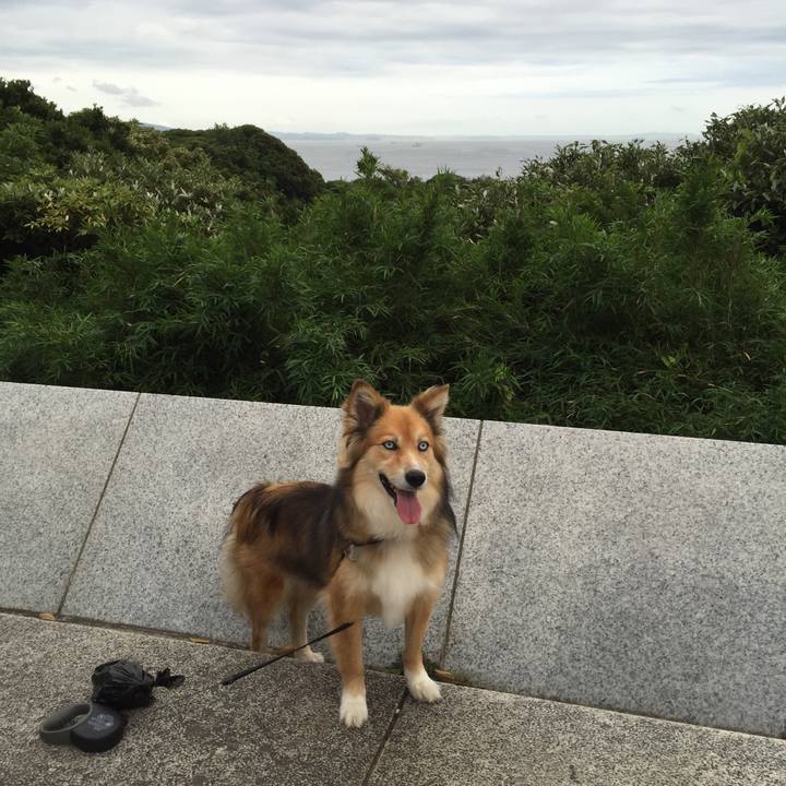 69b74df6 3314 4c50 87e1 adee9c6354f4