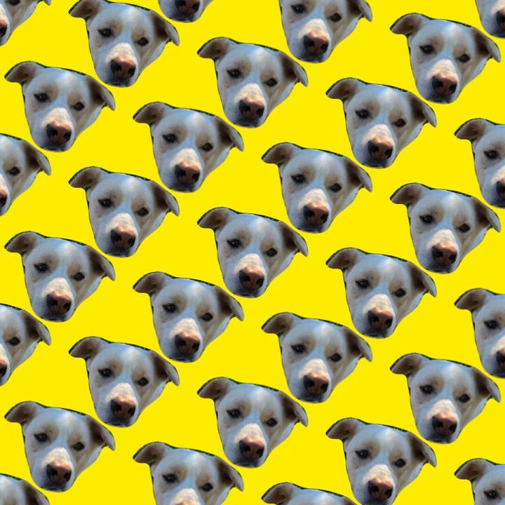 69b831cf d8cf 485d aeb9 256f31b05052