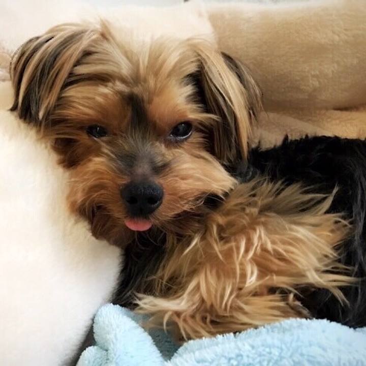 69b8e83b b575 4ff5 ad5d f60f054c3358