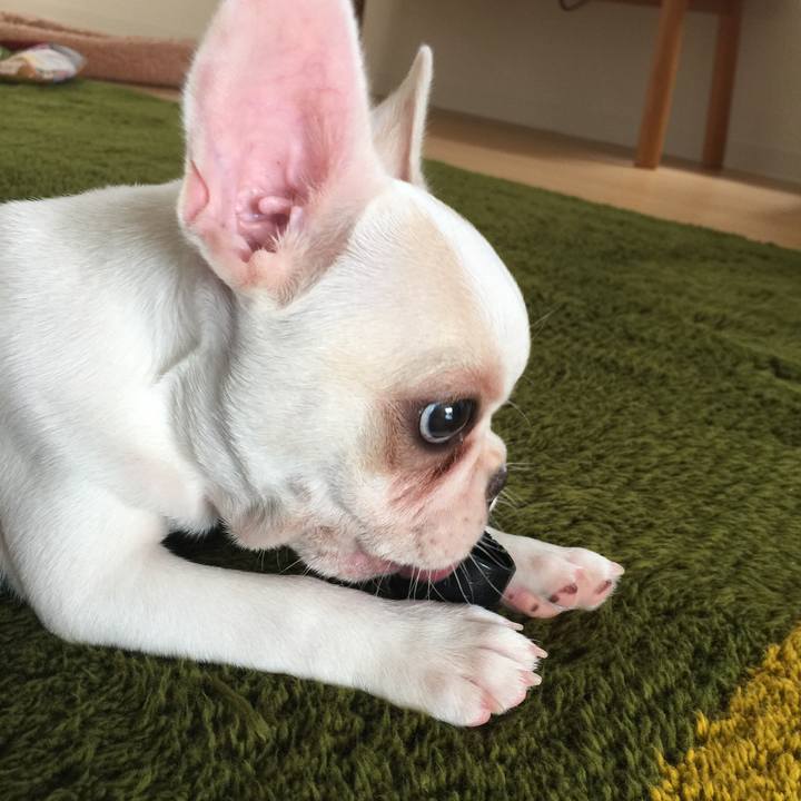 69b91fbd ccb0 4d1b 97d1 e7f6c1fba345