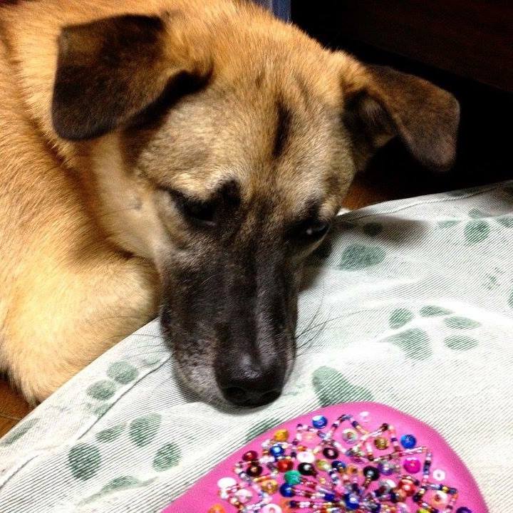 69b9282c 1e65 481b 9cac 6ff0033567db