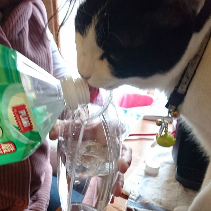 69b9654e 9eac 4166 b1b2 4e4bed07574b