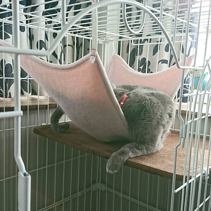 69b9d9e9 49b3 433f 9ab8 9ec1a18b1c1d