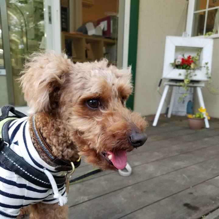 69baaf66 4af3 42aa 9a94 ee00a21eb9c8