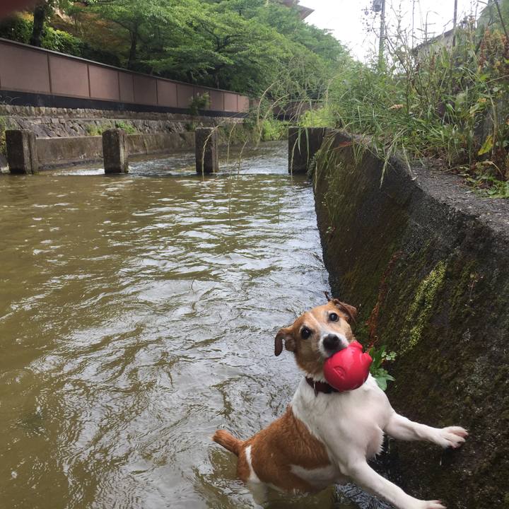 69baf219 c350 4827 8d1b 34fbb2219e9b