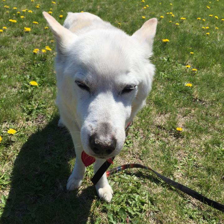 69bb8802 6dd5 4727 8139 62ff73165cf3