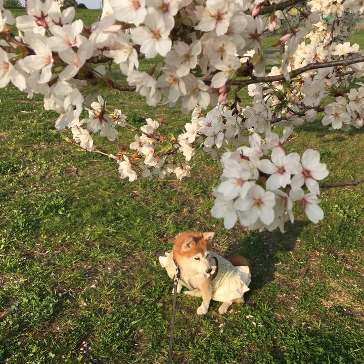 69bbb40c e629 48fb aa74 89e4ce798cd7