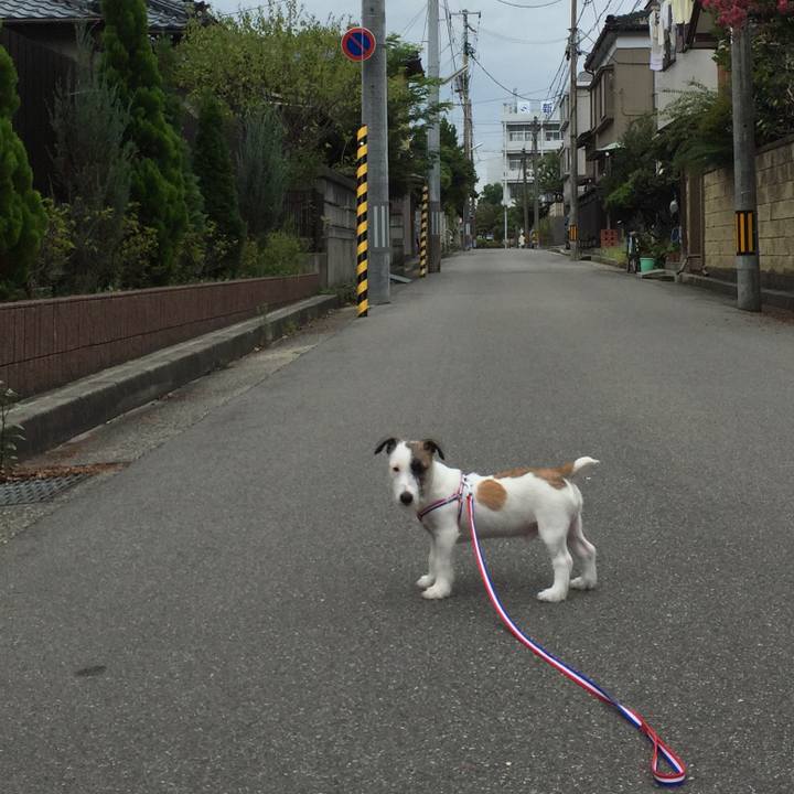 69bc07ea 544d 4424 af75 de9271d3e661