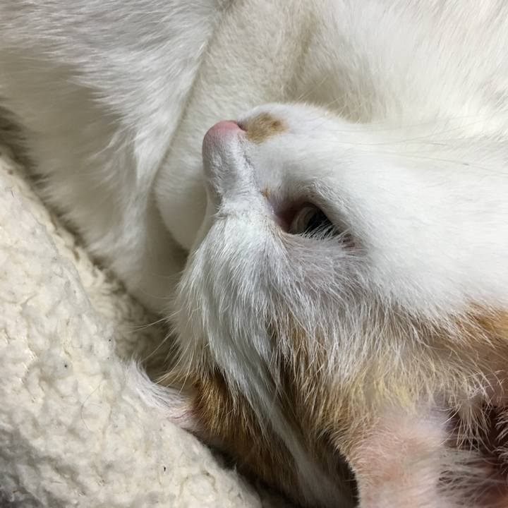 69bc9715 0ee9 44d0 ad62 529f3582f149