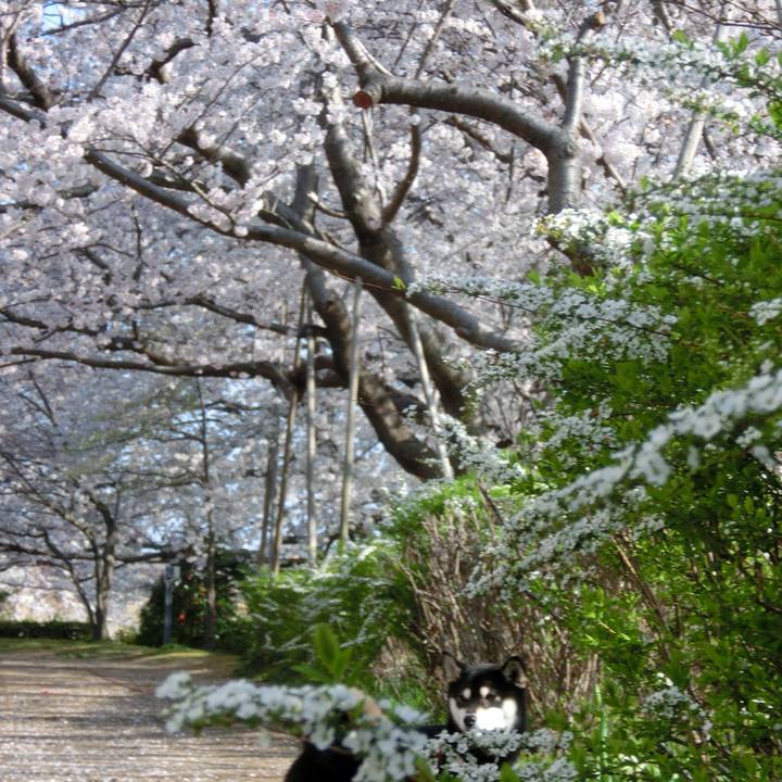 69bcd65f 8641 47ac 8ca0 f3f39c690fe8