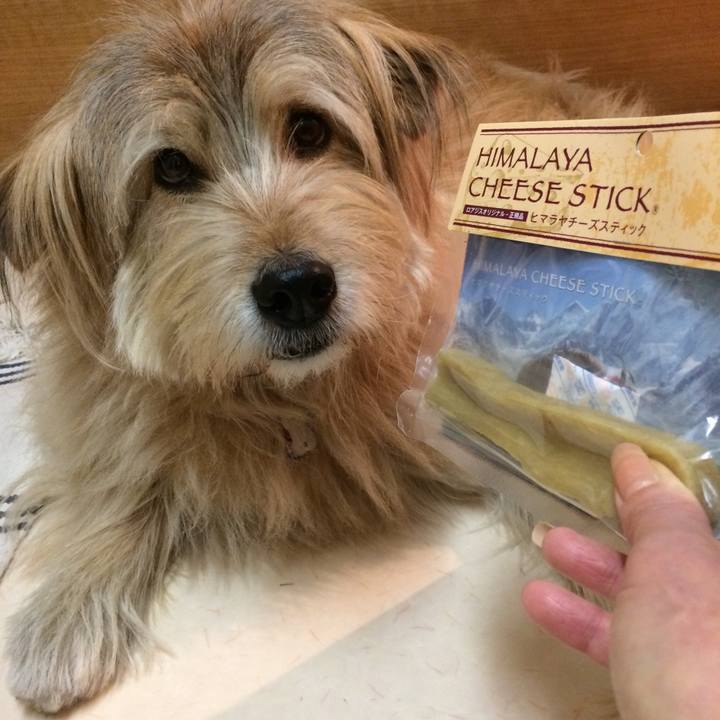 69bcebb1 7bf3 4176 9d72 05f769bcc96d