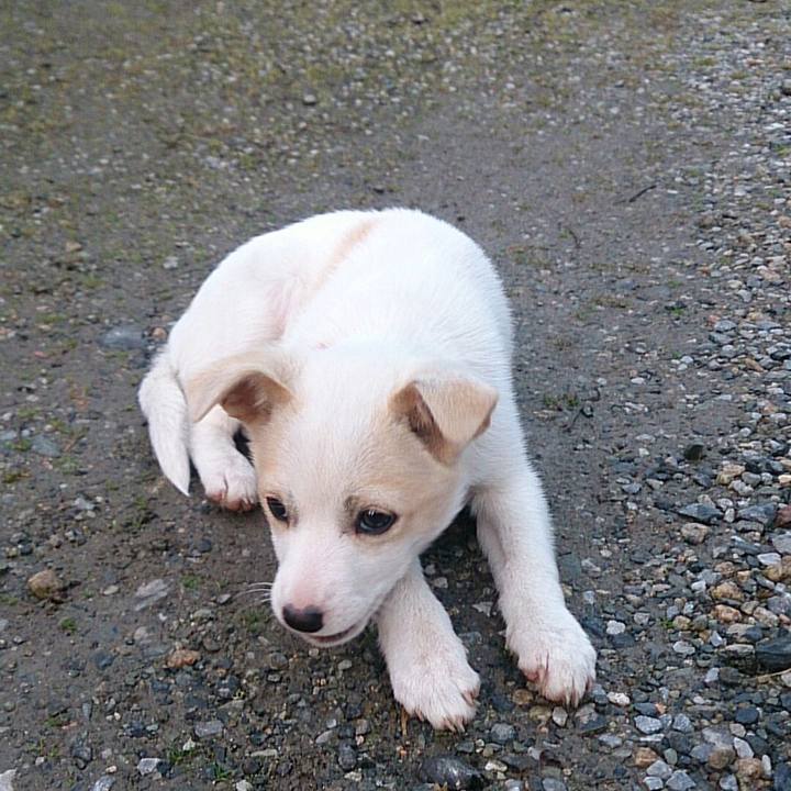 69bd907a 359d 49b4 b0a9 f86378e7ddb1