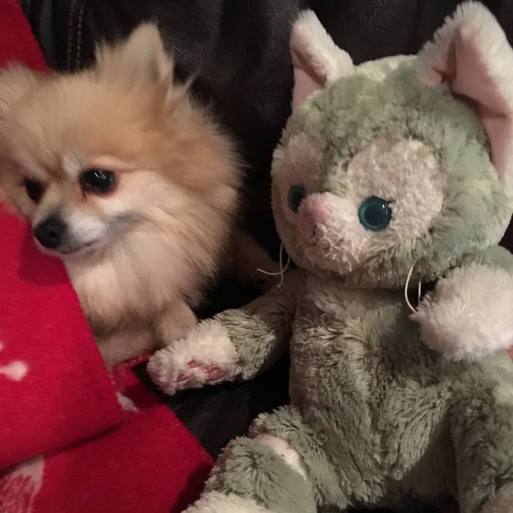 69be5fa1 f6d1 46eb 8f06 f98076e4223f