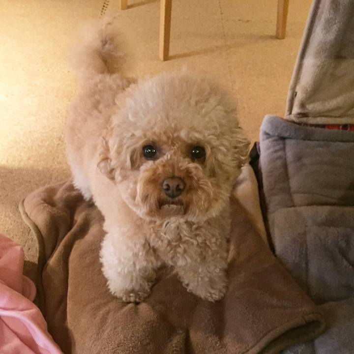 69be9ffe 621b 4604 a8f4 729527b78650