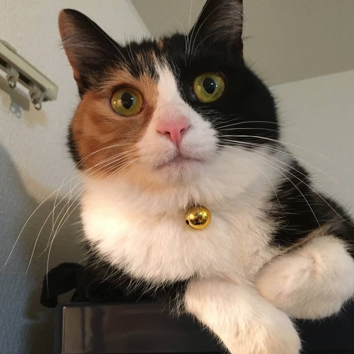 69bedba0 5373 4ca4 9dbe fbc0d96a2cd2