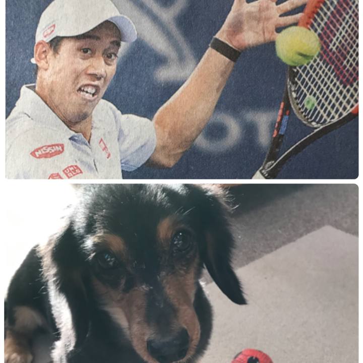 69bf5876 3177 4bc8 bd82 7750a6b01aad