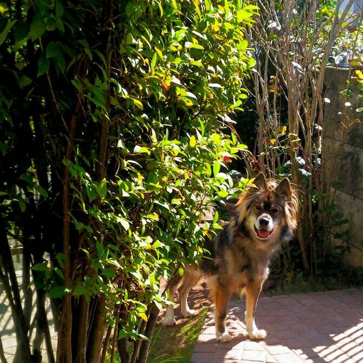 69bf5ac6 3024 4a0c 8844 936d6a7ddbd8