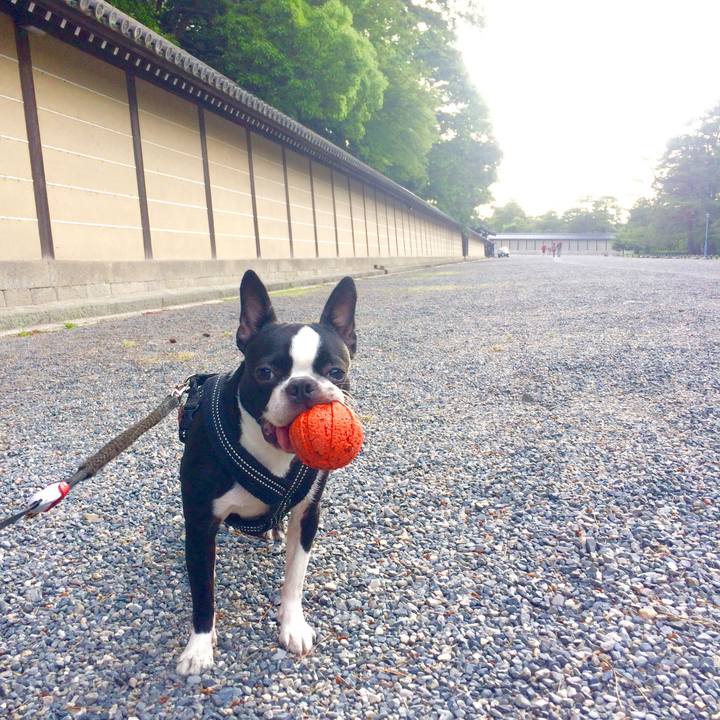 69bf9c2a 2099 4372 9cd6 97b08bc123bb