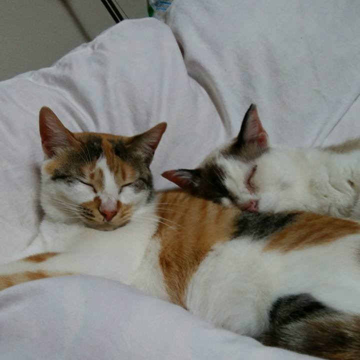 69bfb36d d8fe 474e a495 90932035104c