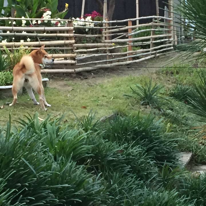 69bfd4e5 dd9e 4891 a61b 4bcf5c67f5ba