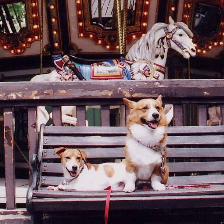 69c07555 13b3 4d75 8fcd 2ddf696561c6