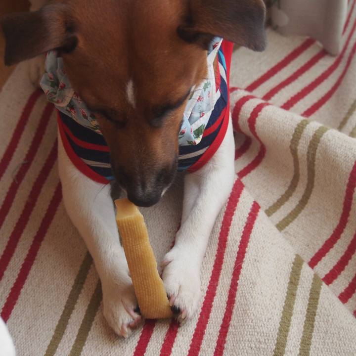 69c13360 89c6 4752 8a8a 1593d1b4188f