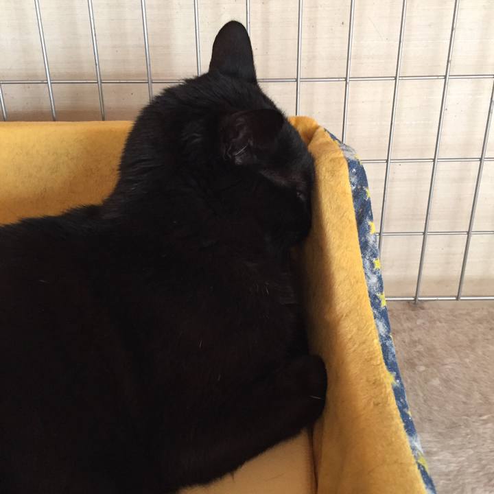 69c1ce9b ffd7 4be1 a20d cc552ec750c9