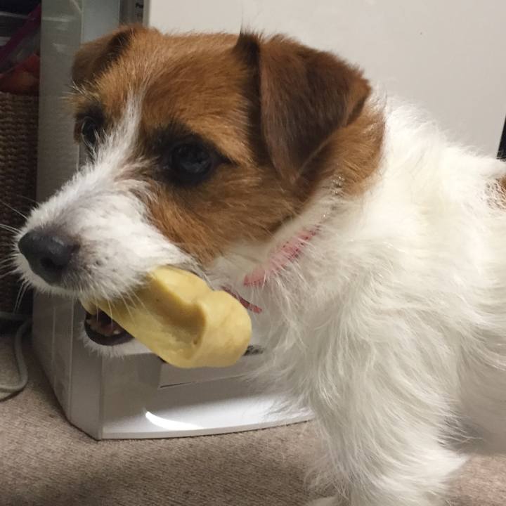 69c217f4 8b77 4d38 98ec 6c286454ad0f