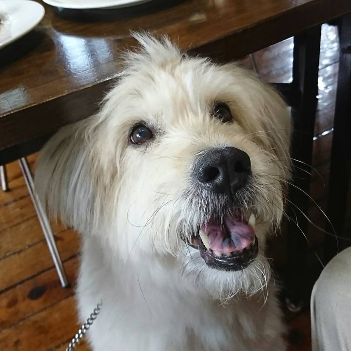 69c2489b 9ce6 4b6e 8968 1b8eb5ac941a