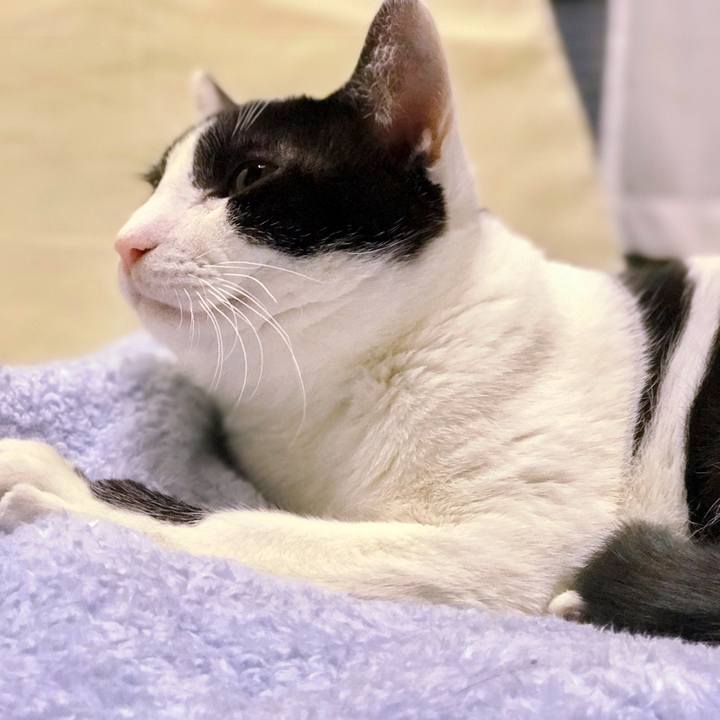 69c257c9 0af4 4788 87be 5325de2b5fd3